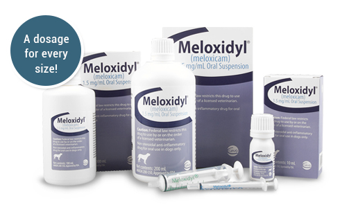 Мелоксидил для кошек купить. Мелоксидил 5. Мелоксидил 0.5. Мелоксидил 1.5 мг. Мелоксидил 0.5 мг/мл.