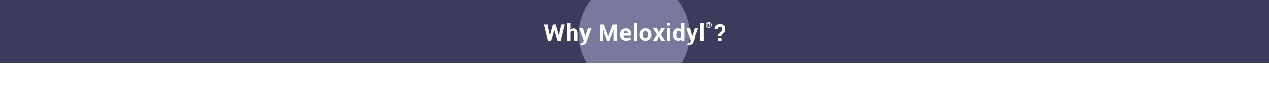WhyMeloxidyl-Slider-5